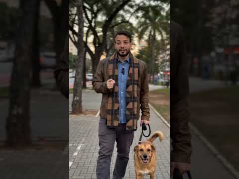 Guarda Compartilhada de Pets: Você Dividiria?